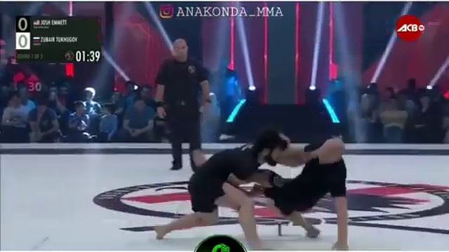 Чеченский зверь ЗУБАЙРА ТУХУГОВ 💞😍 смотреть онлайн