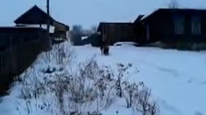 ТРУСЛЕЙКА РУЛИТ РЖАЧ СМОТРЕТЬ ДО КОНЦА