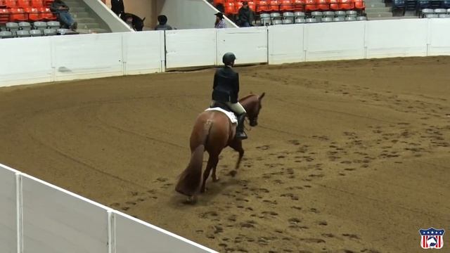 2023 Quarter Horse Congress L1 Hunt Seat Equitation Lynn Campbell on Remember The Dayz смотреть онлайн