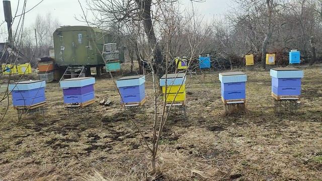 Перезимовали ☀️ смотреть онлайн