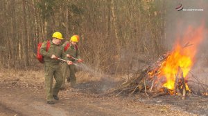 В Серпухове провели учения МЧС по тушению пожара в лесу