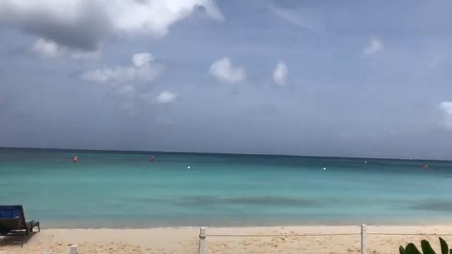 A Sudden Butterfly Migration in Grand Cayman смотреть онлайн