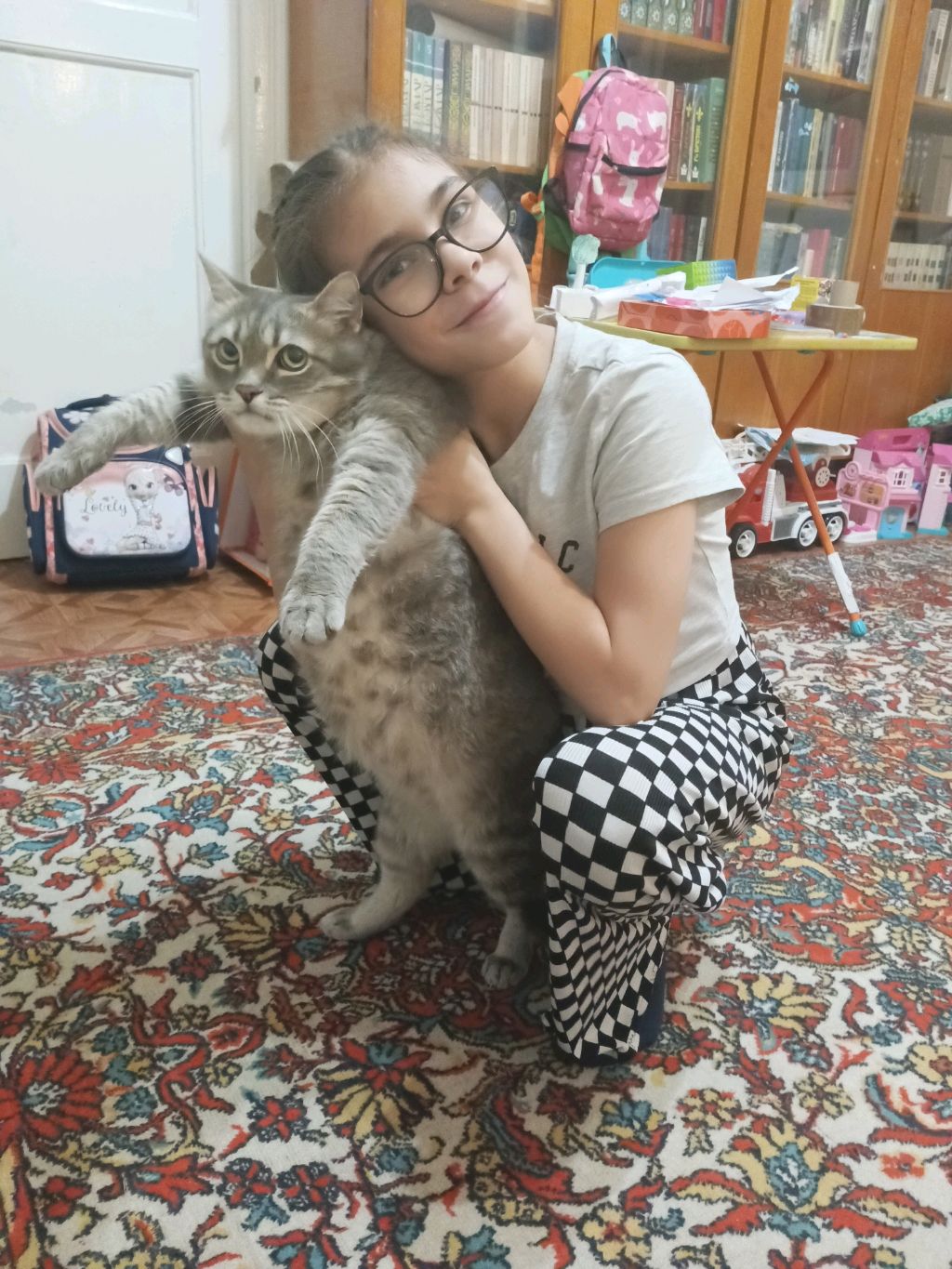 котики
