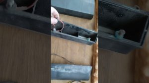 плафон освещения номерного знака луаз