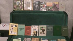 Немного о моих книгах. Обзор малой части. 2023.