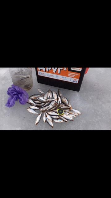 Сегодня порыбачил на Карьере🎣 Мормышка 2 мм. Леска 0,085 мм. Клев средний, много мелочи.