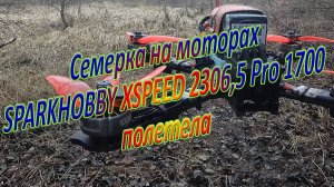 Семерка на моторах SPARKHOBBY XSPEED 2306,5 1700  полетела