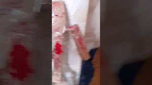 костюм спрингтрапа.