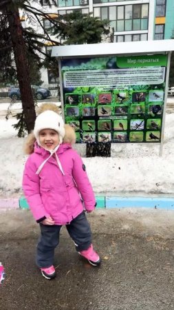 Поставил? #shortvideo #юмор #жиза #funny
