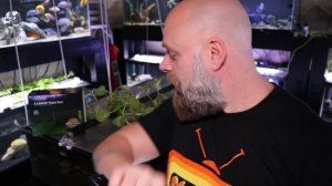 Kessil A160WE Tuna Sun Aquarium Light Review: What A High-Quality Light Did to Our Fish Tank!