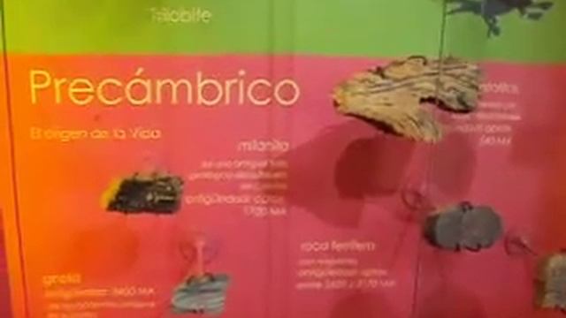 Colonia del Sacramento - Uruguay - Museo Palenteológico