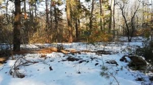 ИФА МУЛЬТИКАР 25 САМОСВАЛ IFA MULTIKAR M 25