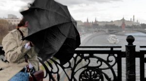 Ветер разгоняется с каждым часом все сильнее. Ураган и дожди ожидаются в Москве к вечеру