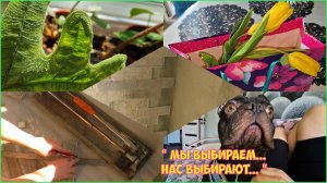 Освоила плиткорез. Мой 8 марта. Первая напасть в оранжерее.  Для меня это лучше снотворного!