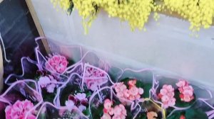 Подрастают розы и цветут нарциссы на  окне!!! Поездка в город!!!