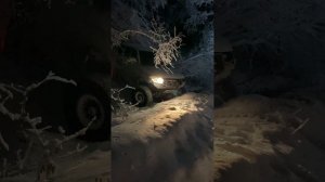 Сказочный зимний лес с препятствиями.