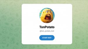 Почему TonPotato уже не актуален | Что нужно знать о проекте