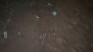 MyLittleSHOWforYOUИдем в сторону подъезда по неудобной дороге
