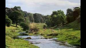 Художник Michael James Smith. Англия.