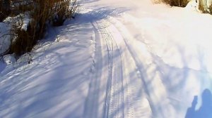 Очередная прогулка по не совсем зимнему лесу