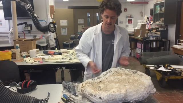 A Fossil Journey: Chapter II смотреть онлайн