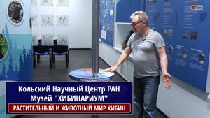 МУЗЕЙ КНЦ "ХИБИНАРИУМ", Растительный и животный мир ХИБИН. КОТЕЛЬНИКОВ В.А.
