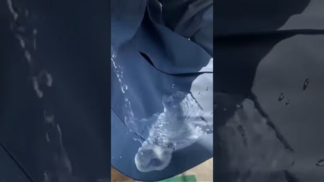 new design dust proof water proof jacket