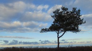 Релаксация. Ветер, волны, Балтика, зима, звуки природы.