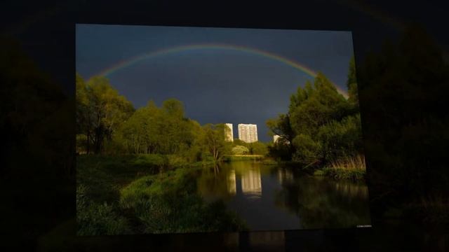 Ищите женщину