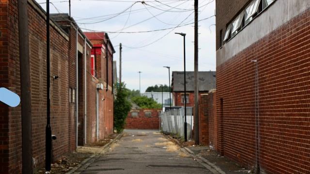 Flat Logo Premiere Pro Templates смотреть онлайн