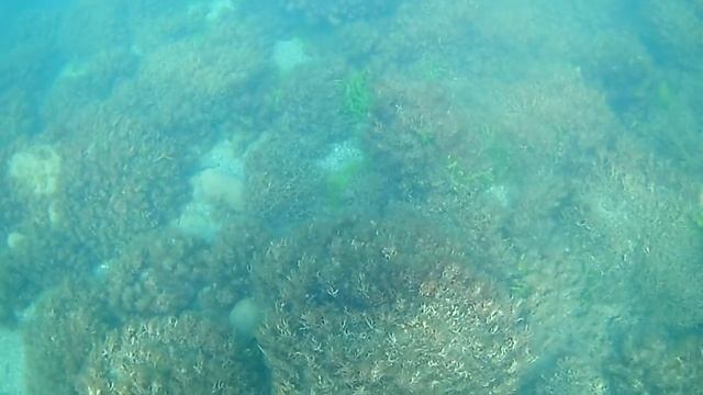 Очень чистая вода на пляже в Гурзуфе 20.08.2020 смотреть онлайн