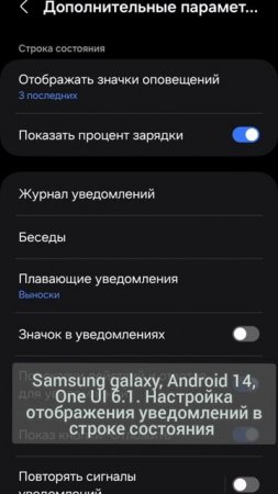 Samsung galaxy, Android 14, One UI 6.1. настройка отображения уведомлений в строке состояния.