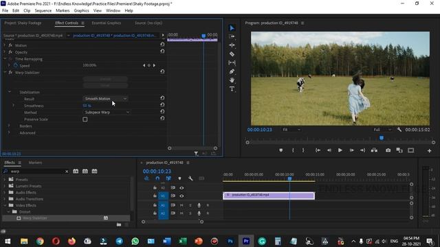 How to Fix Shaky Video in Premiere Pro with Warp Stabilizer in Tamil смотреть онлайн