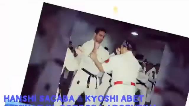 argentina Karate seminar смотреть онлайн