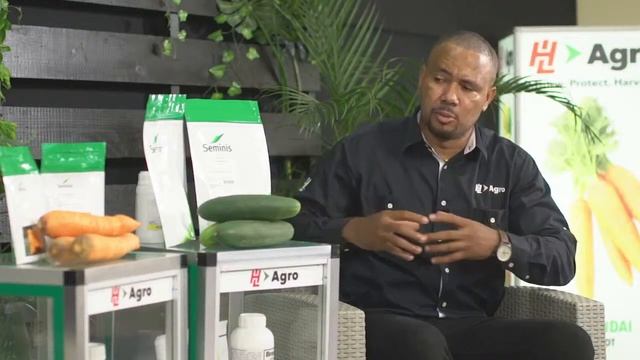 HL Agro Hybrid Seeds Launch - EX4098 Carrot and Bristol Cucumber