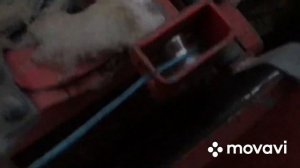 Результат работы мини трактора  с пресс подборщиком Welger RP-12