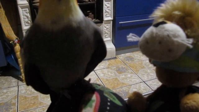 Корела Прошик розмовляє з іграшкою. смотреть онлайн