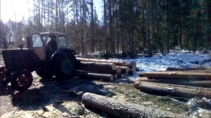 наша работа в делянке на юмз трелевка леса лебедкой.
