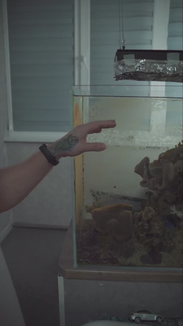 Подмена воды и обслуживание | Влог аквариумиста 🐠 смотреть онлайн