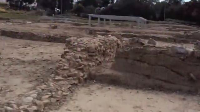 Aristotle's Lyceum смотреть онлайн