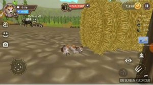 Как победить босса быка в wild craft 3 способа