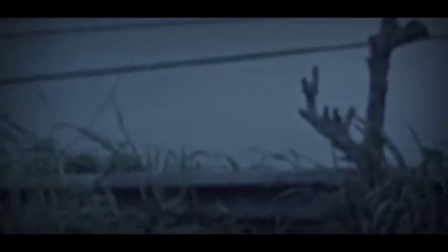 Vivo camera music смотреть онлайн