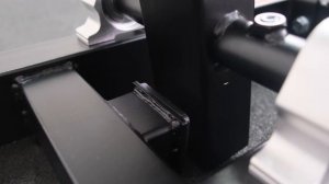 Приседания с поясом на свободных весах Protrain PR-BS01B.