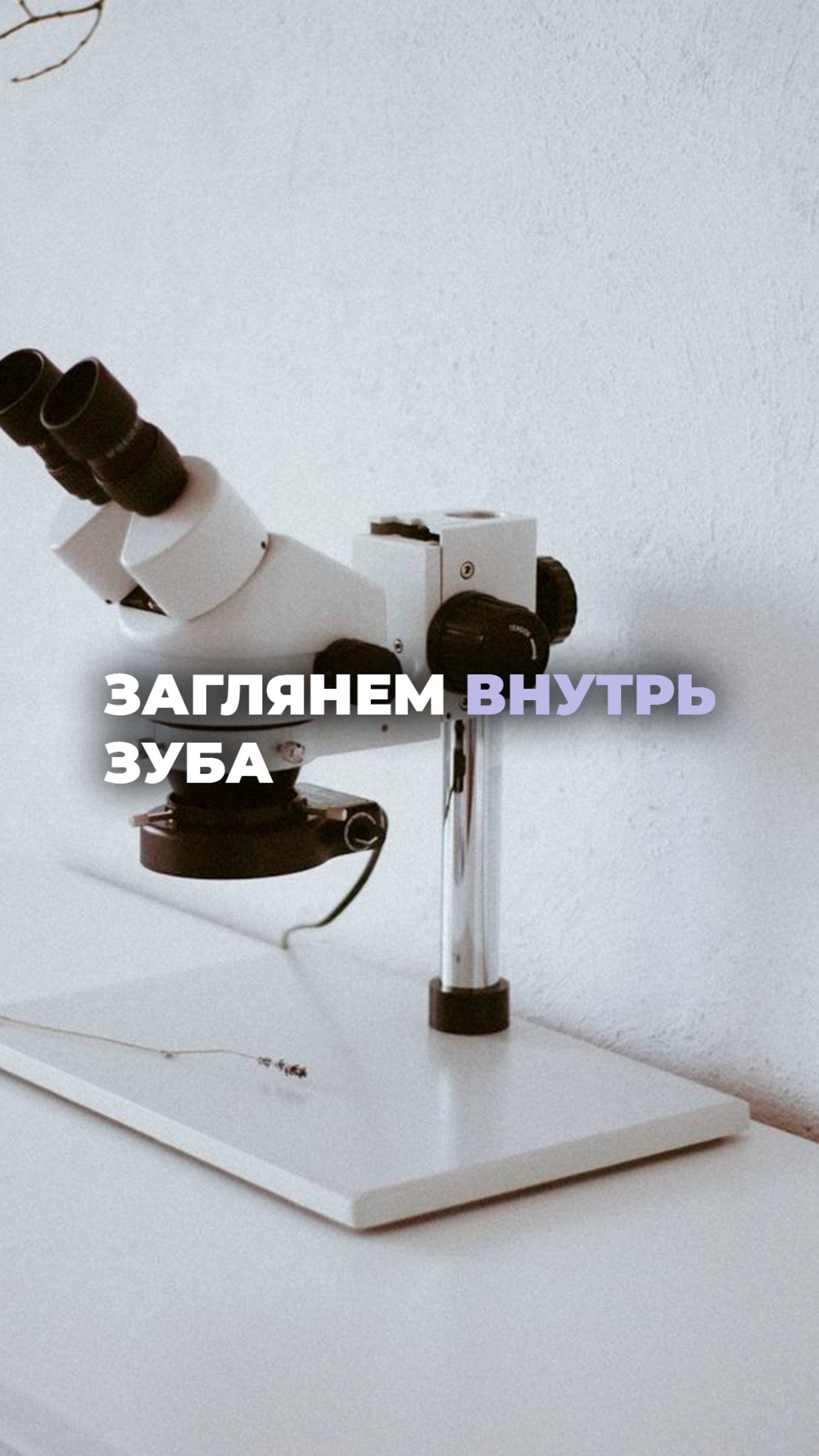 Экстремальное микроскопическое увеличение среза резца