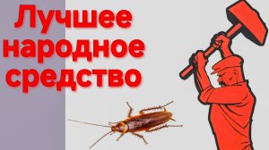 САМОЕ СТРАШНОЕ ОРУЖИЕ ПРОТИВ ТАРАКАНОВ. НАРОДНЫЙ РЕЦЕПТ. ГАРАНТИЯ УНИЧТОЖЕНИЯ 100%. ЗА КОПЕЙКИ.