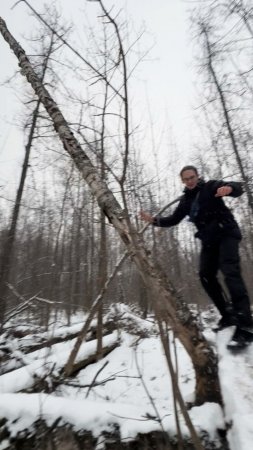 Человек повалил огромное дерево! Оно было 10 метров!
