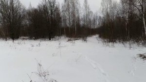 Охота на зайца в Беларуси 2024.