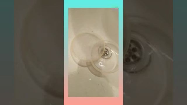 Улитята!! Новый дом для них) !! /уход за улитками смотреть онлайн