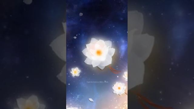 Mr Love Queen Choice - Candlelit Night Event (Chinese Wedding Theme) TRYINN 144 PULLS UWU AAAAAA смотреть онлайн