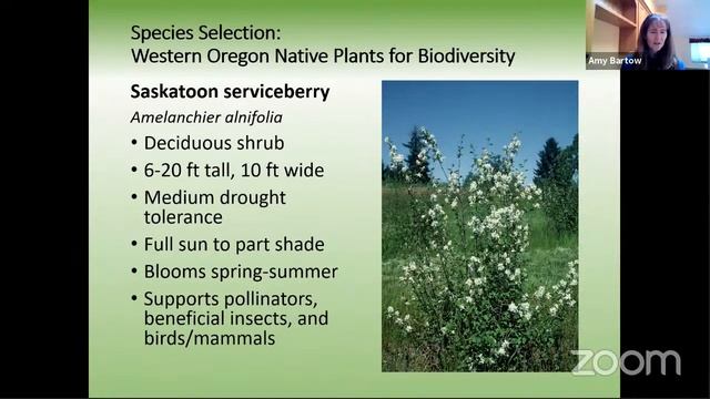 Planning & Planting Your Native Garden смотреть онлайн